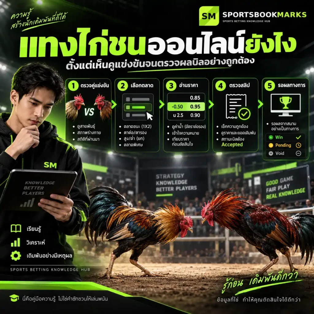 แทงไก่ชนออนไลน์ยังไง ขั้นตอนตรวจคู่ เลือกตลาด อ่านราคา ตรวจสลิป และเช็กผลบิล