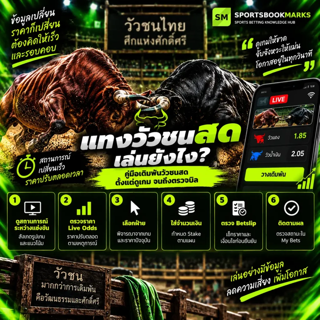 แทงวัวชนสด วิธีดู Live Odds ราคาไหล และตรวจ Betslip ก่อนเดิมพัน
